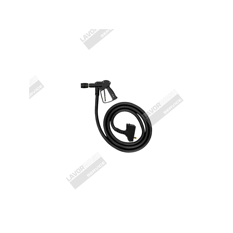 PISTOLET À VAPEUR AVEC HOSE 10M - image 1