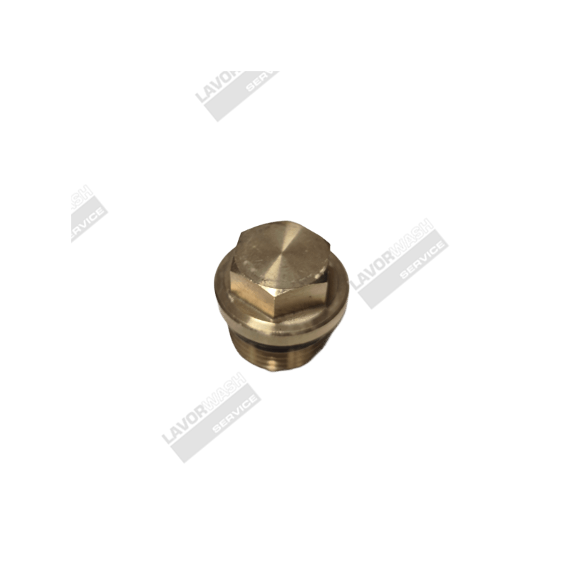 5.009.0101 - 00008-01245 - BOUCHON DE CLAPET AVEC JOINT POUR NETTOYEUR HAUTE PRESSION 5.009.0101 - 00008-01245 - BOUCHON DE CLAPET AVEC JOINT POUR NETTOYEUR HAUTE PRESSION