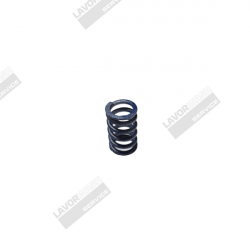 PETIT RESSORT DE BYPASS DU KIT 140 - image 2