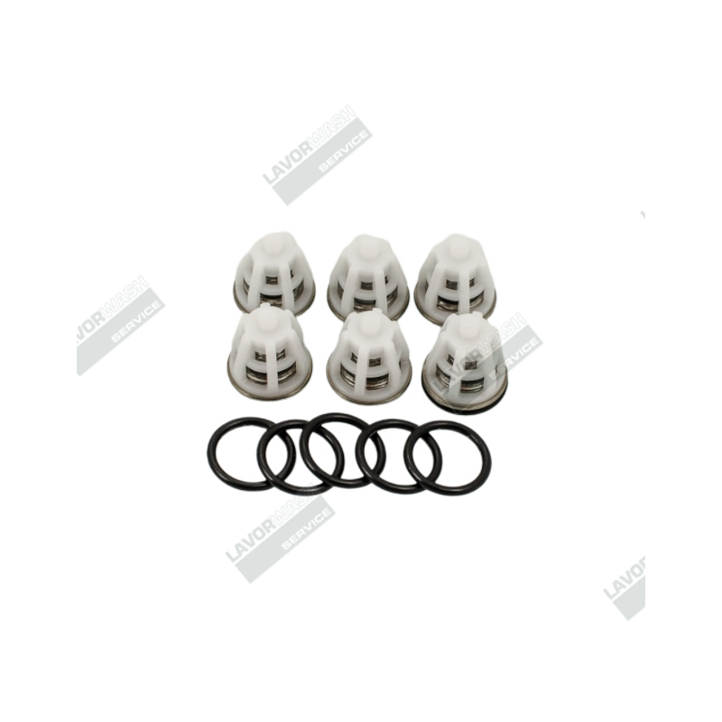 6.605.0042 - KIT 6 CLAPETS POUR POMPE CL LW5 6.605.0042 - KIT 6 CLAPETS POUR POMPE CL LW5
